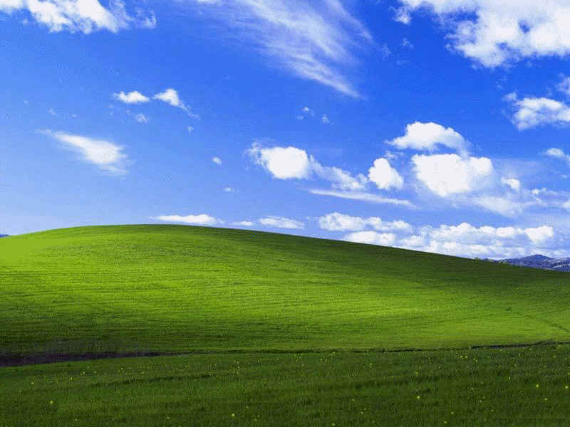 tapeta windows xp