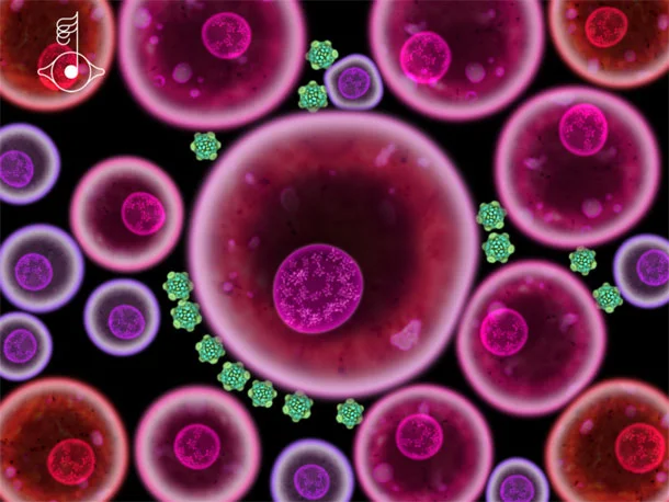 bjork_biophilia3 