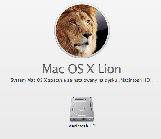 lion1