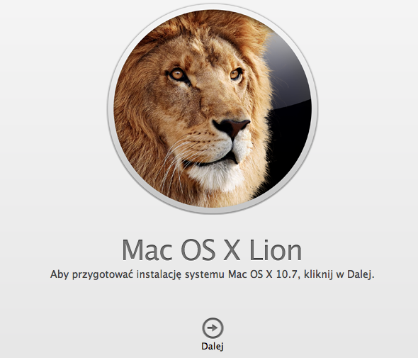 lion2