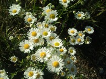  class="wp-image-21590" 