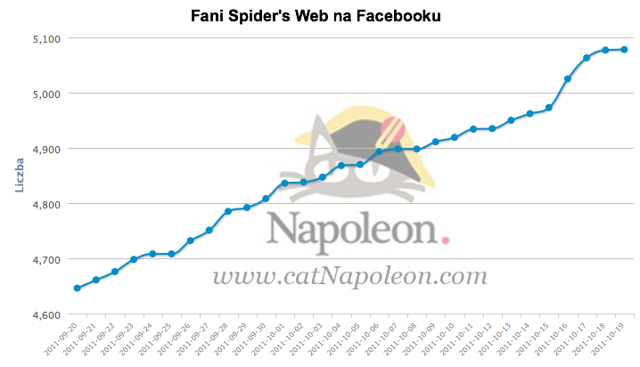 Spidersweb wzrost