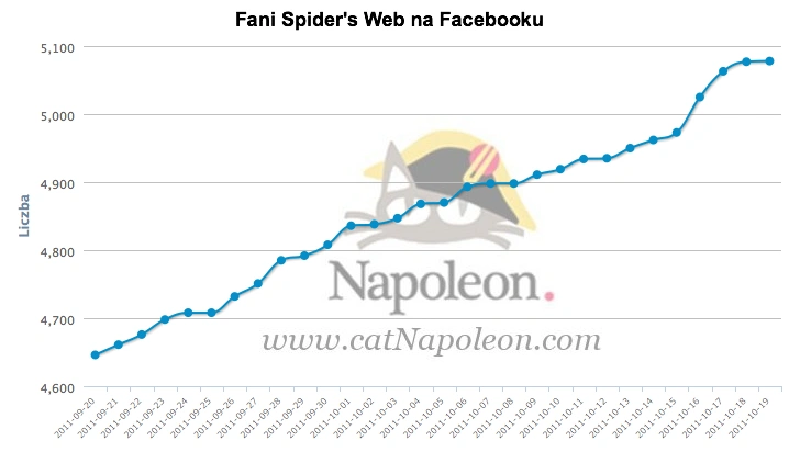 Spidersweb wzrost 