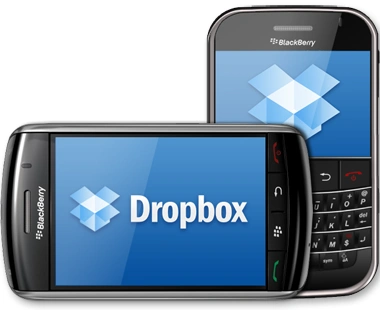 blackberry_splash