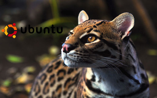 ubuntu-oneiric-ocelot