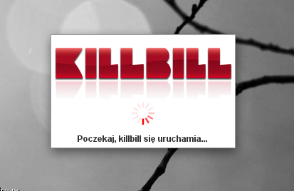 zrzut_ekranu