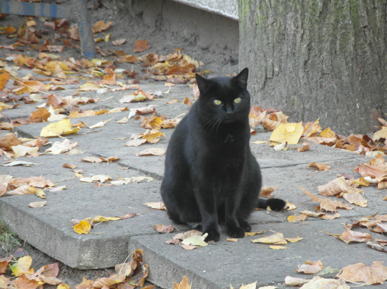  class="wp-image-24376" 