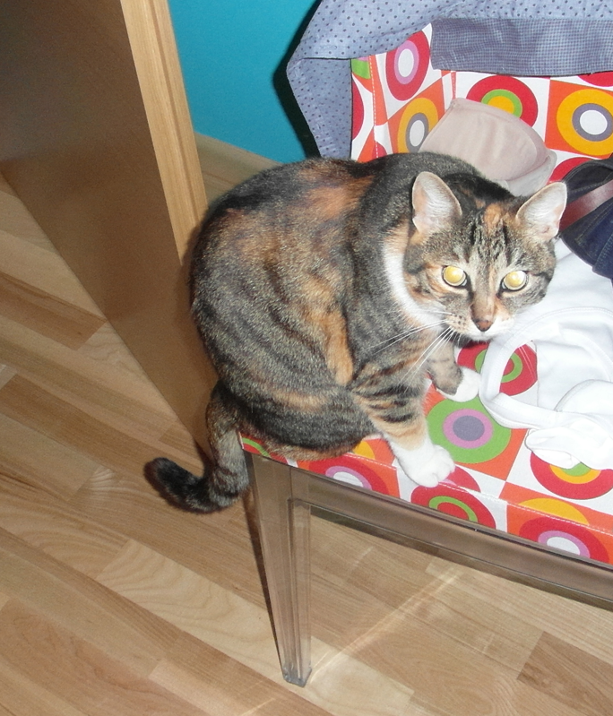  class="wp-image-24382" 