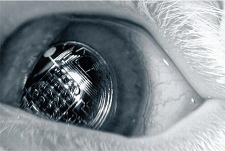  class="wp-image-24465" 