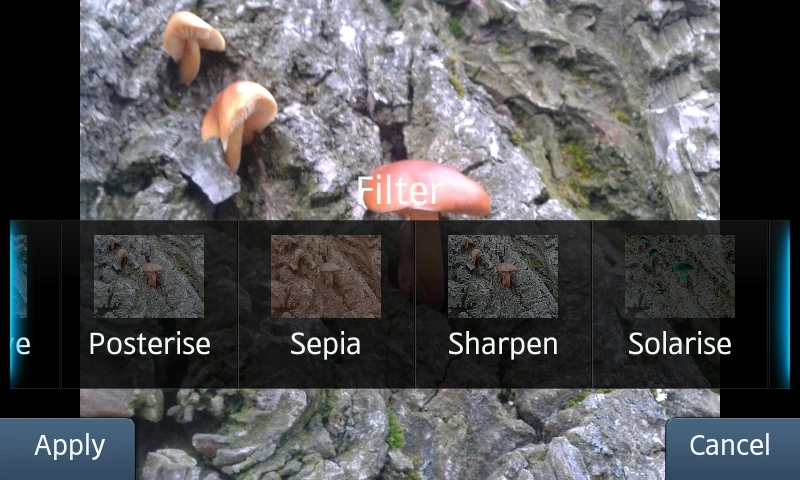 photoeditor 