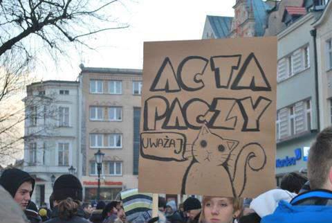 class="wp-image-34773"