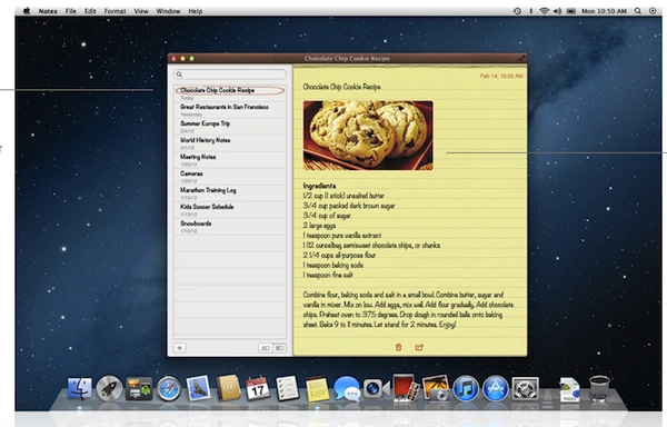 notes_mlion 