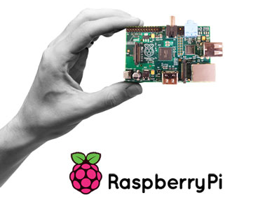 raspberry class="wp-image-35884"
