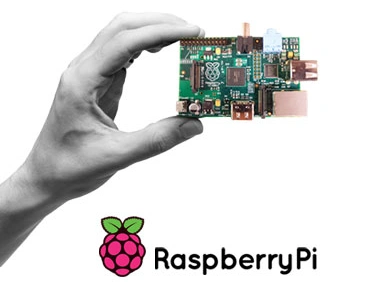 raspberry