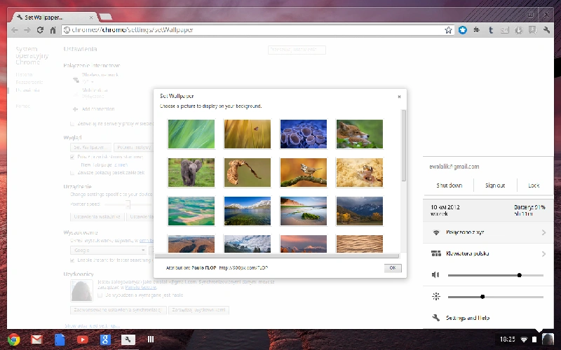 chromeos5 