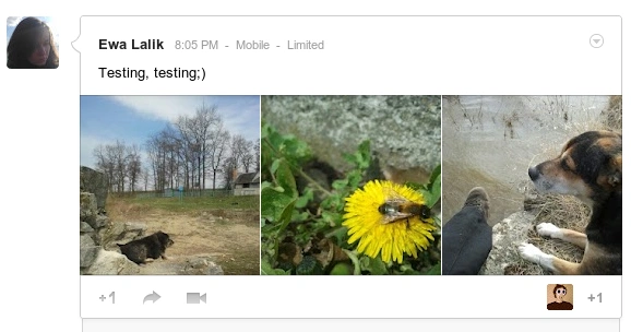 google +