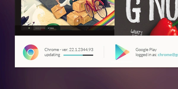 Google Chrome 8 