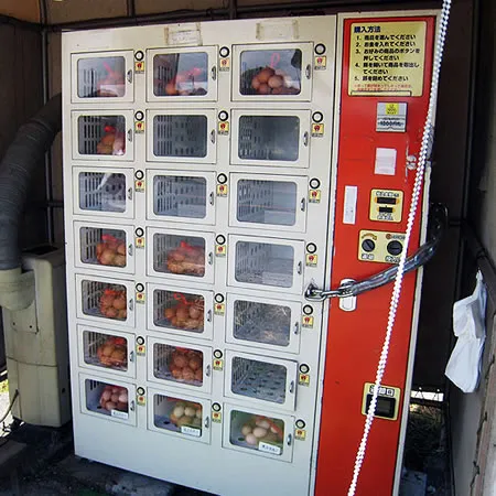 automat z jajkami