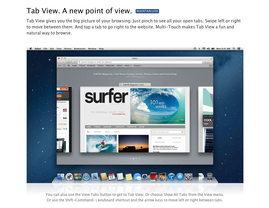 safari2 