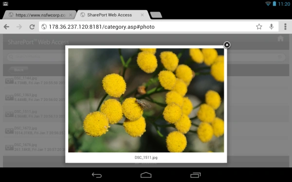 dlink web mobile photo 