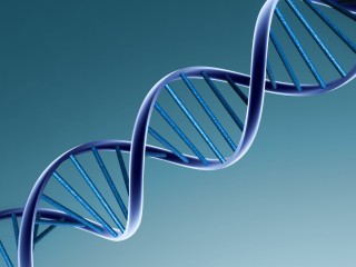 A gdyby z DNA zrobić pendrive’a?