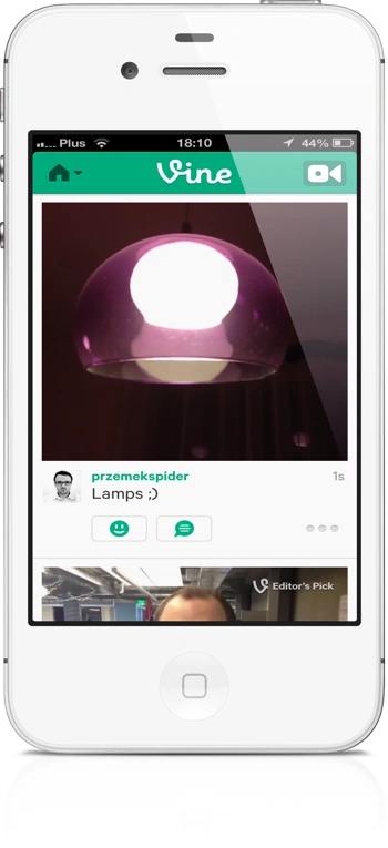 Vine 3 
