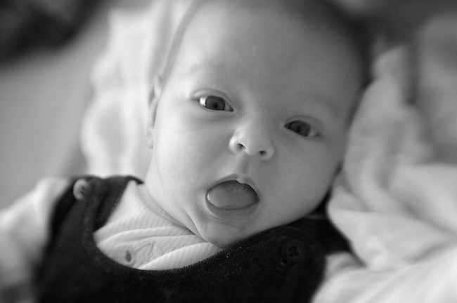 lansbaby 3