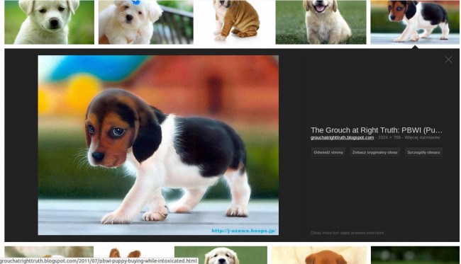 new google image search