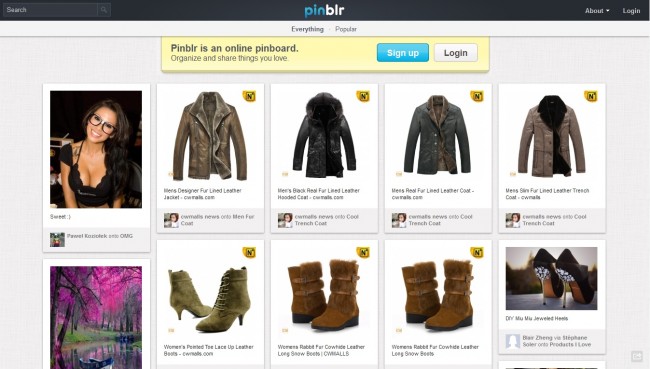 pinblr