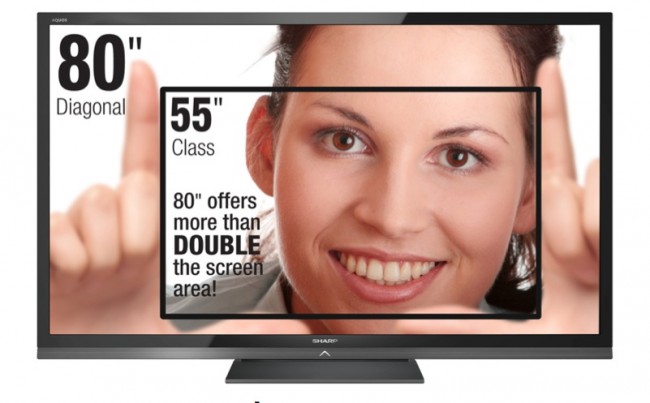 Sharp-2013-6