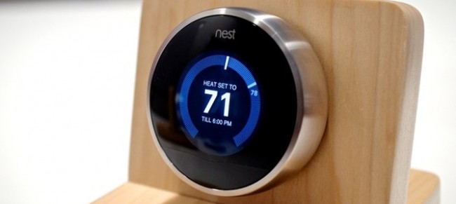 nest