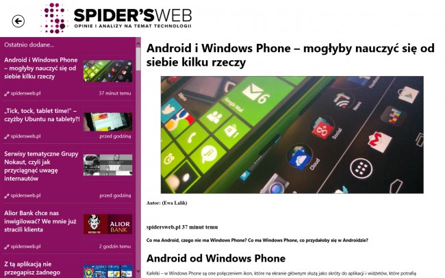 spiders-web-3