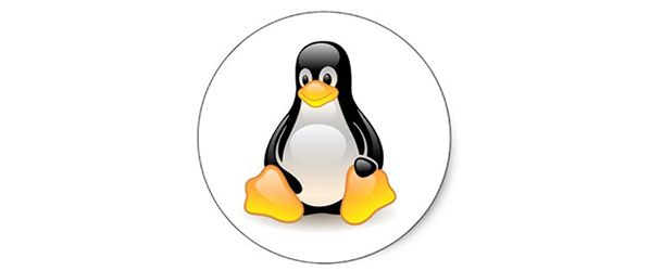 W USA nielegalnym jest oglądanie filmów DVD w systemie Linux