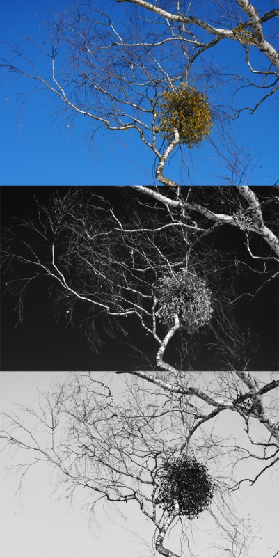 03-filtry-w-fotografii 