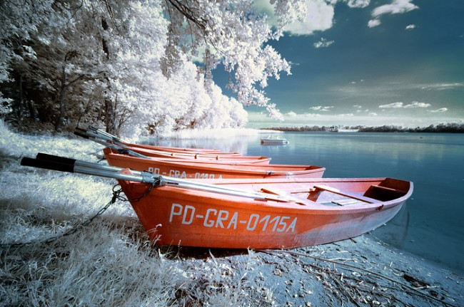 Fotografia w podczerwieni