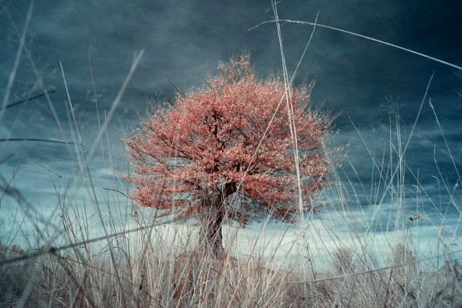 04-filtry-w-fotografii 