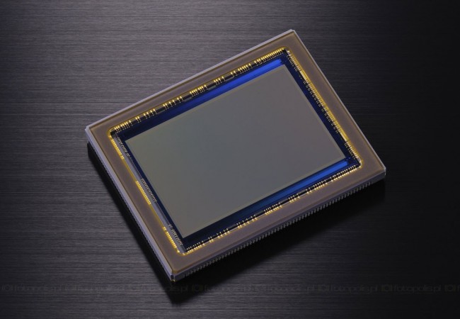 nikon-d800-cmos 