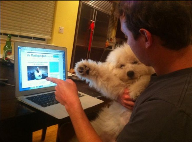 Beast_Mark_Zuckerberg_dog 