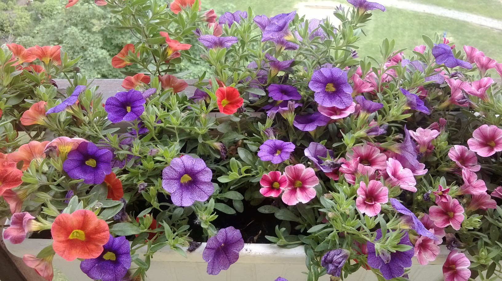 nokia-lumia-520-foto class="wp-image-118099" 