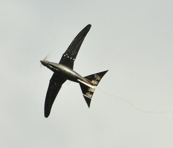 rboswift