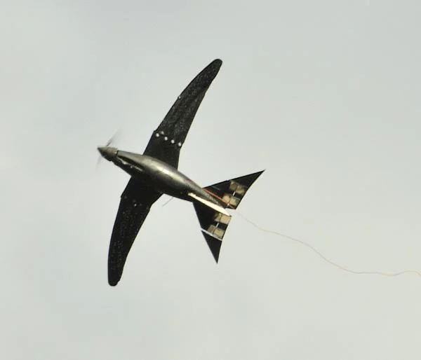 rboswift 