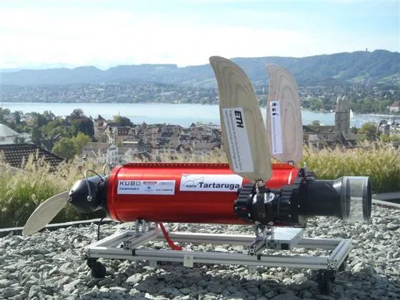 robot-turtle 