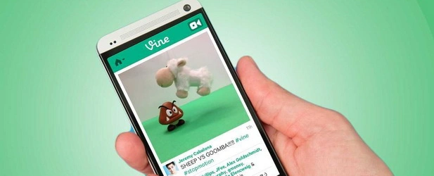 vine