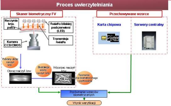 FV proces