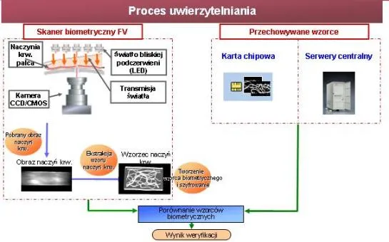 FV proces 