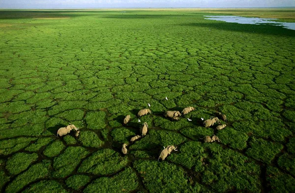 george-steinmetz-4 