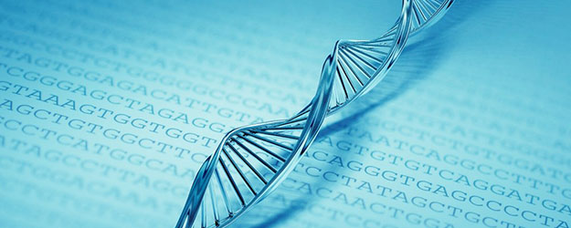 dna