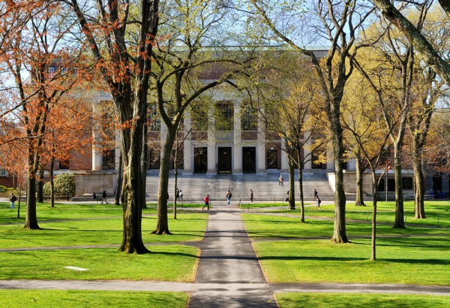 harvard 