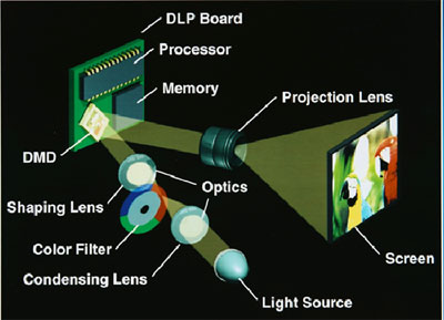 DLP