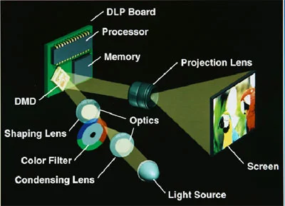 DLP